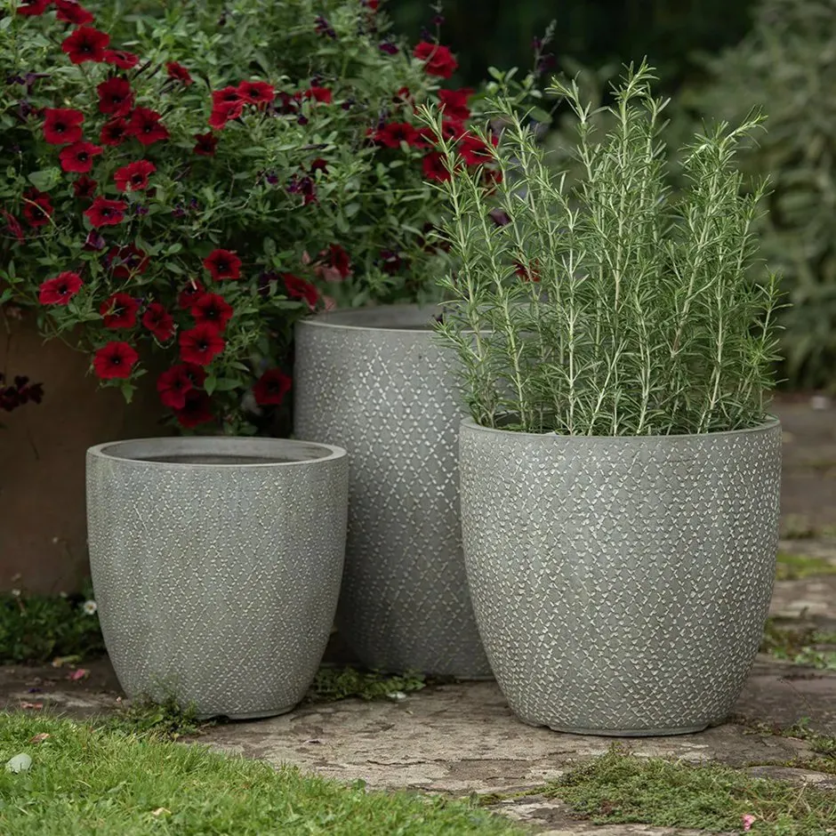 Free - win crocus planters